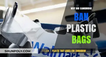 Cambridge's Bold Move: Banning Plastic Bags for a Greener Future