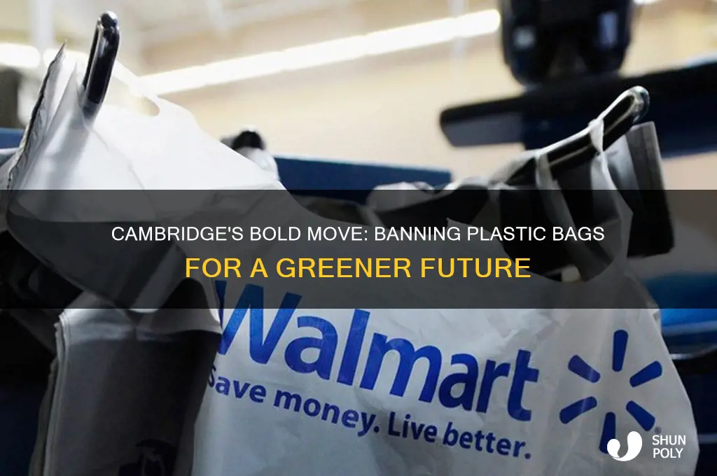 why did cambridge ban plastic bags