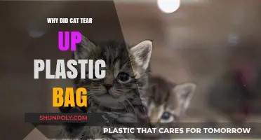 Why Cats Tear Up Plastic Bags: Uncovering Feline Curiosity and Instincts