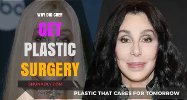 Cher's Transformation: Unveiling the Reasons Behind Her Plastic Surgery