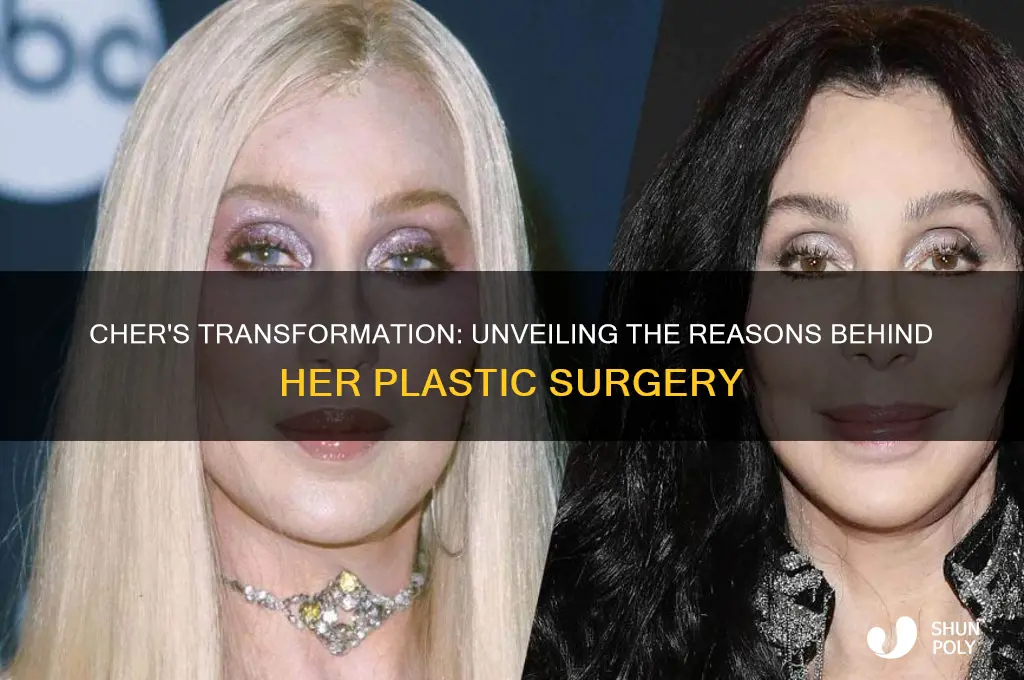 why did cher get plastic surgery