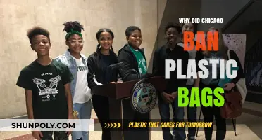 Chicago's Plastic Bag Ban: Environmental Impact and Policy Shift Explained
