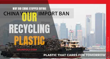 China's Plastic Recycling Policy Change: Impact and Implications