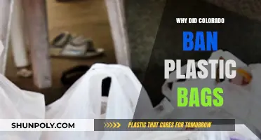 Colorado's Plastic Bag Ban: Environmental Impact and Sustainable Alternatives