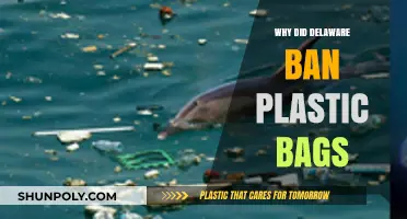 Delaware's Plastic Bag Ban: Environmental Impact and Policy Shift Explained