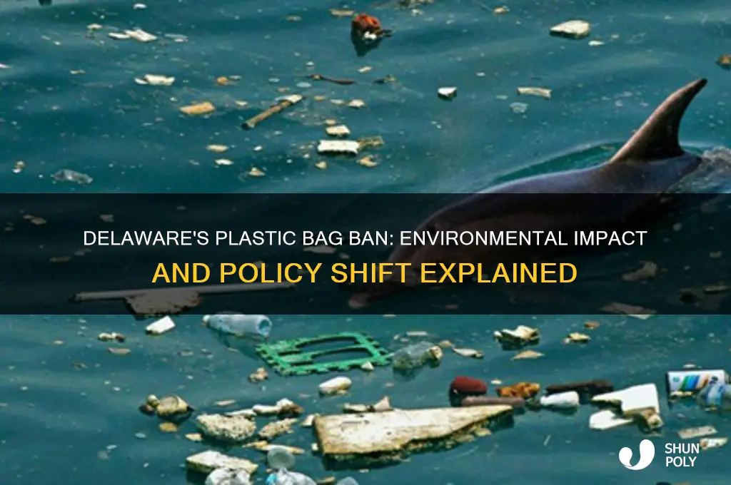 Delaware's Plastic Bag Ban: Environmental Impact And Policy Shift