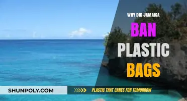Jamaica's Plastic Bag Ban: Environmental Impact and Sustainable Alternatives