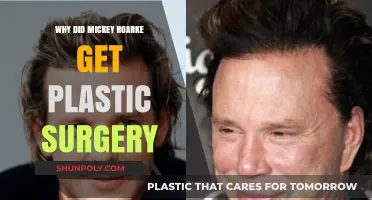 Mickey Rourke's Plastic Surgery: Unraveling the Reasons Behind His Transformation