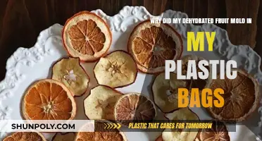 Preventing Mold in Dehydrated Fruit Stored in Plastic Bags