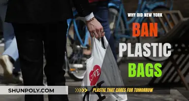 New York's Plastic Bag Ban: Environmental Impact and Reasons Behind It