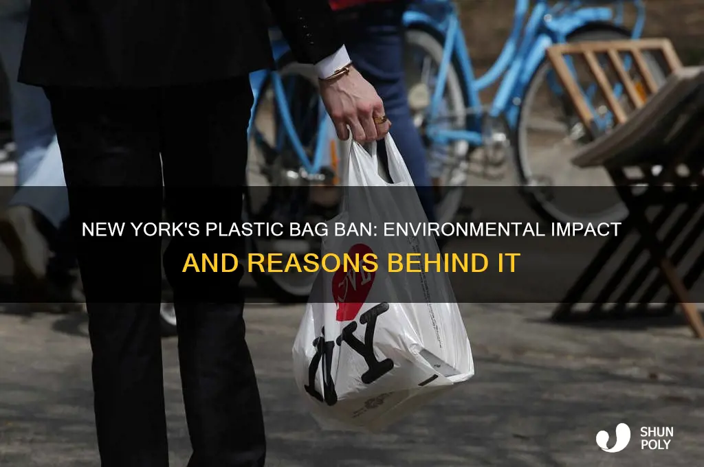 why did new york ban plastic bags
