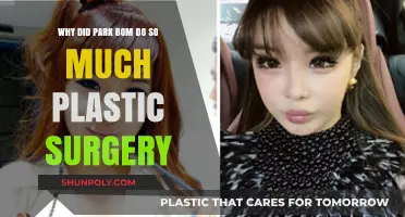 Park Bom's Transformation: Unraveling the Reasons Behind Her Plastic Surgery