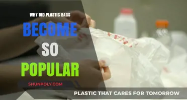The Rise of Plastic Bags: Convenience, Cost, and Cultural Shift
