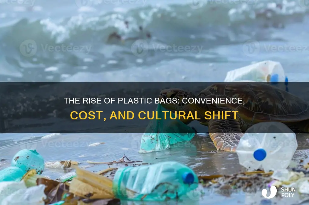 why did plastic bags become so popular