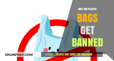 Why Plastic Bags Were Banned: Environmental Impact and Alternatives