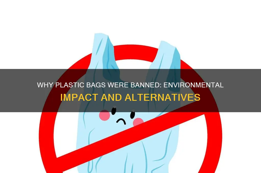 why did plastic bags get banned