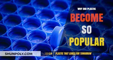 Plastic's Popularity: How Did We Get Here?