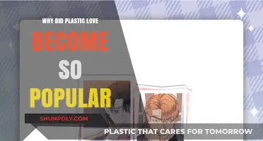 Plastic Love's Popularity: A Cultural Icon Explained