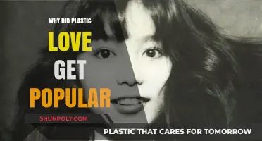 Plastic Love's Rise: Exploring the Global Appeal of a Retro Hit