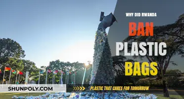 Rwanda's Bold Move: Banning Plastic Bags for a Greener Future