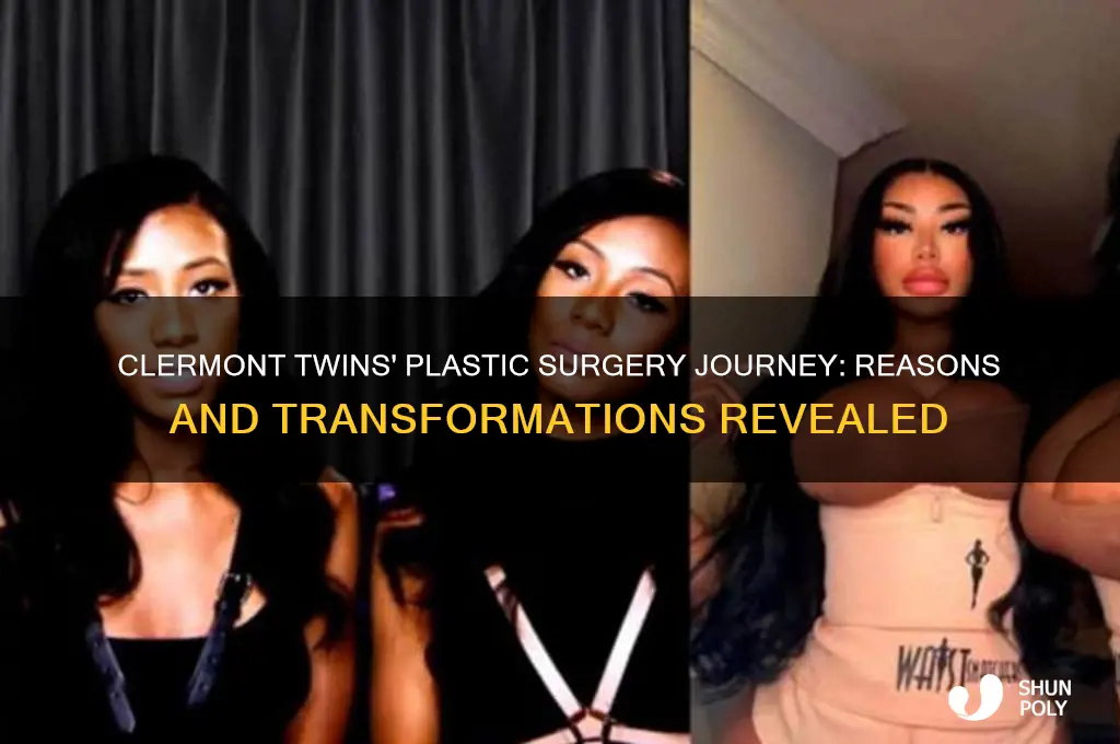 why did the clermont twins get plastic surgery