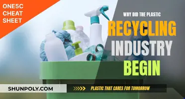 The Emergence of Plastic Recycling: Environmental Necessity