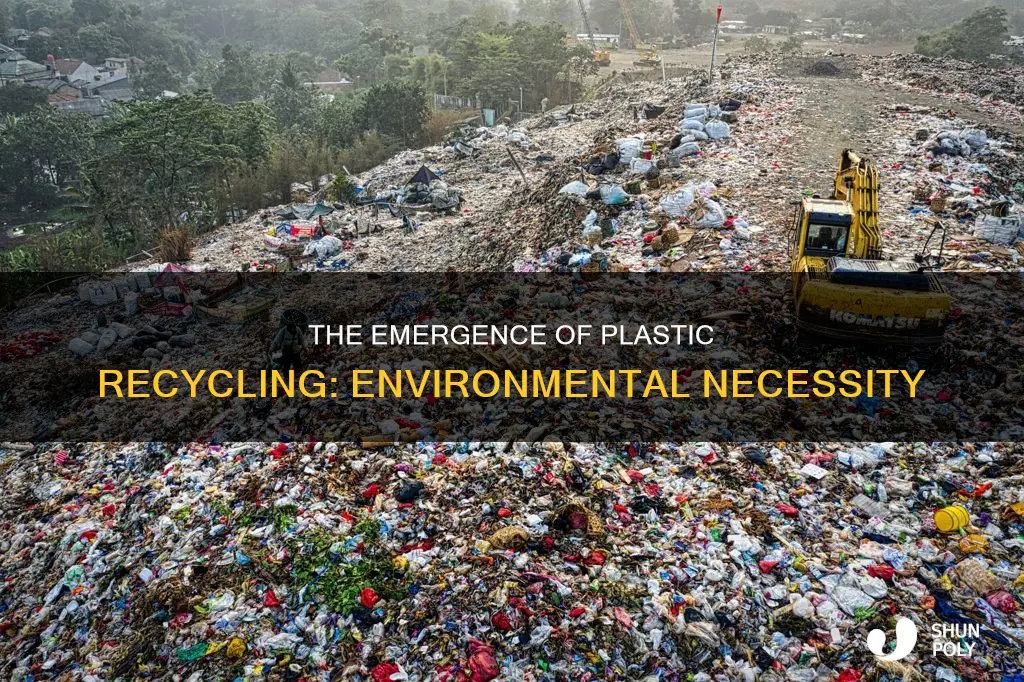 why did the plastic recycling industry begin