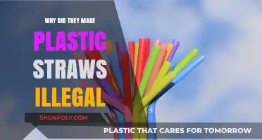 The Ban on Plastic Straws: Environmental Impact and Sustainable Alternatives