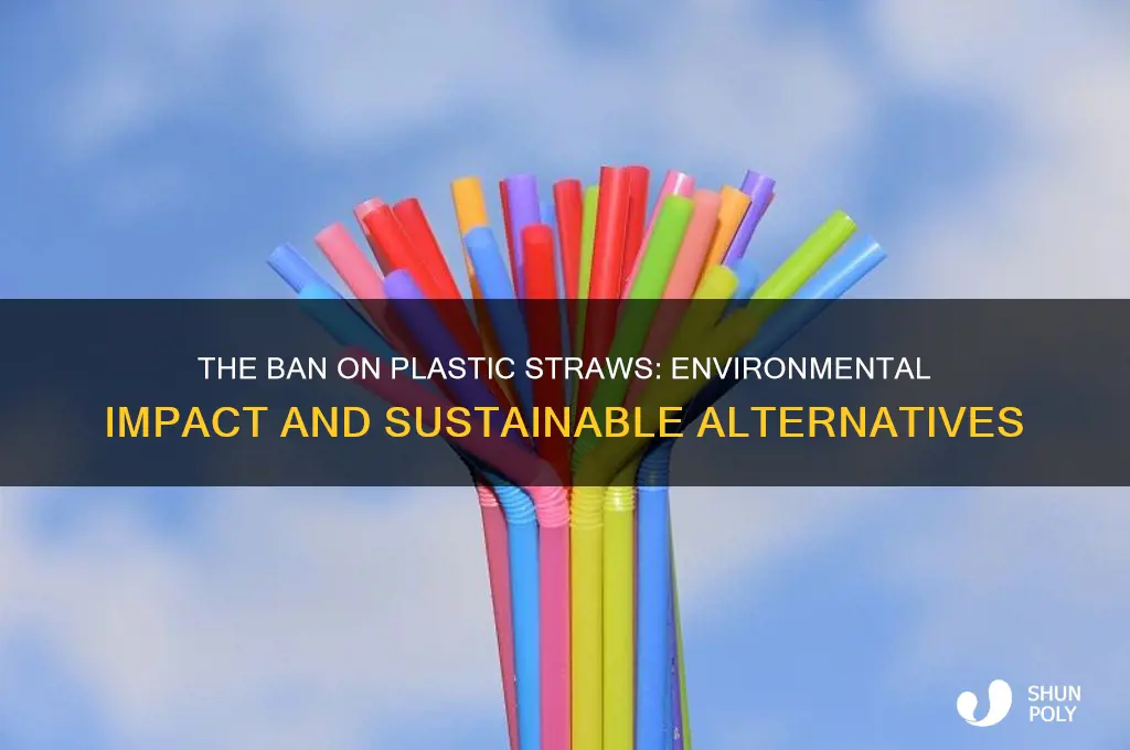 why did they make plastic straws illegal