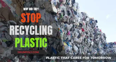 The Dark Side of Plastic Recycling: Why It Stopped