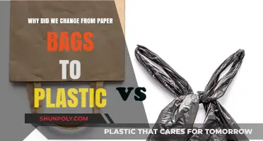 From Paper to Plastic: The Evolution of Shopping Bag Preferences