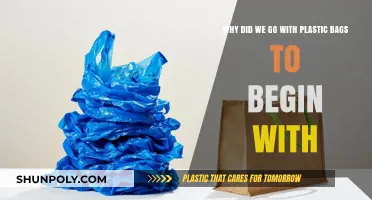 The Rise of Plastic Bags: A Historical Shift in Convenience