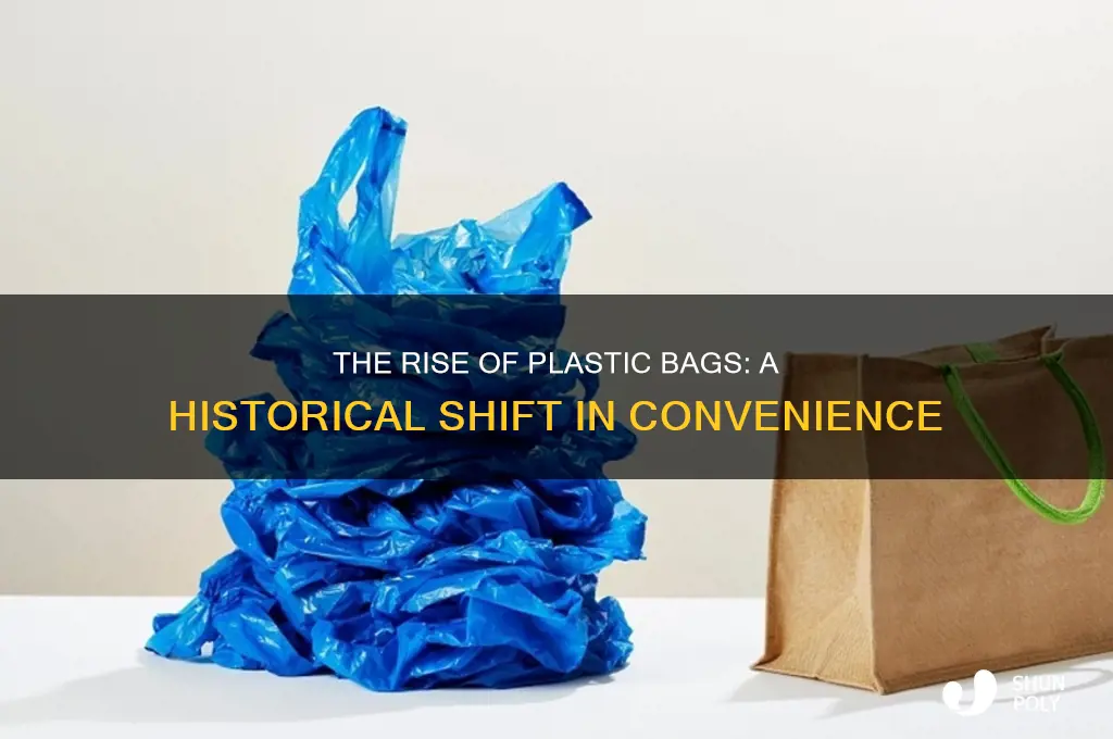 why did we go with plastic bags to begin with