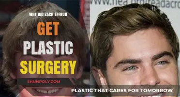 Zach Efron's Plastic Surgery: Unraveling the Reasons Behind His Transformation
