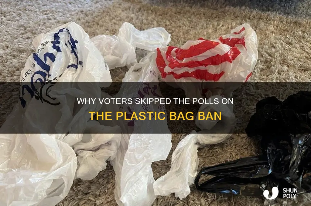 why didnt voters vote on plastic bag ban