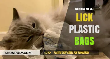 Why Cats Lick Plastic Bags: Uncovering the Curious Feline Behavior