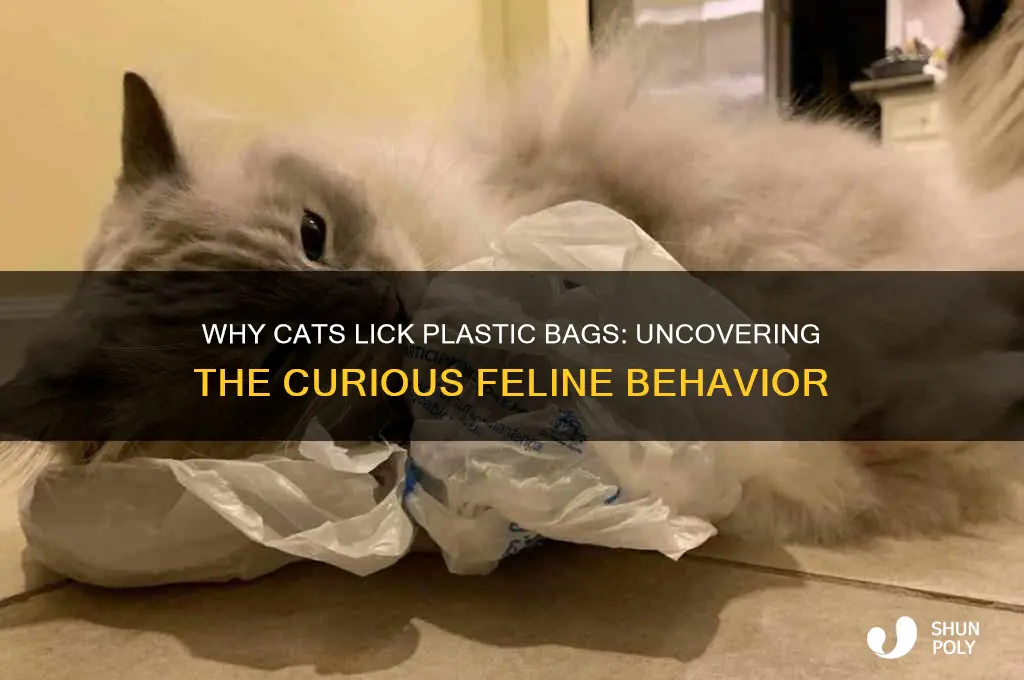 why dies my cat lick plastic bags
