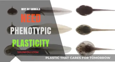 Phenotypic Plasticity: Animals' Secret to Survival