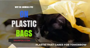 Why Animals Target Plastic Bags for Urination: Unraveling the Mystery