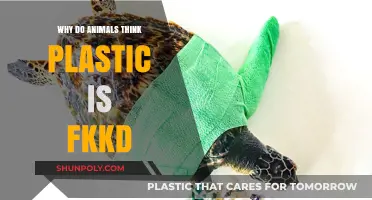 Animals and Plastic: A Toxic Faux Food Affair