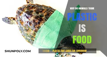 Animals Mistake Plastic for Food: Why This Happens