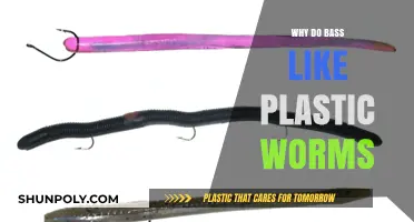 Plastic Worms: Bass Fishing's Secret Weapon