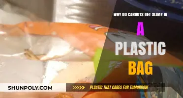 Why Carrots Turn Slimy in Plastic Bags: Causes and Prevention