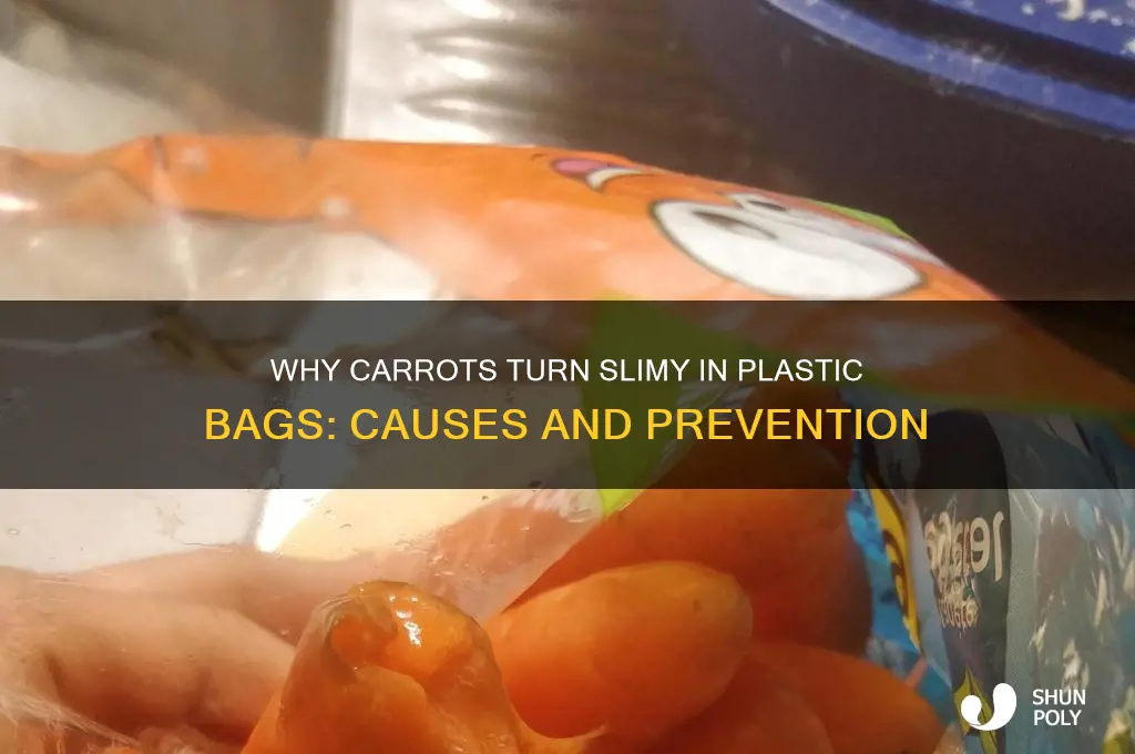 why do carrots get slimy in a plastic bag