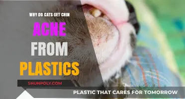 Plastic Dangers: Uncovering the Link Between Cat Chin Acne and Plastics