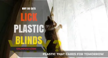 Understanding Cats' Obsession With Licking Plastic Blinds