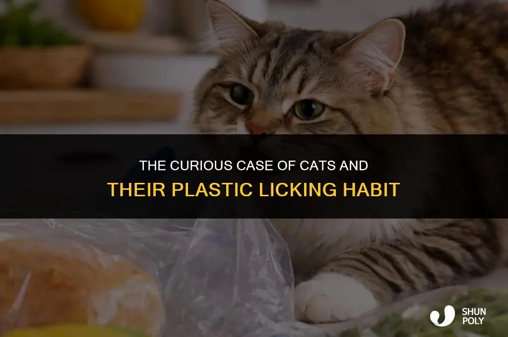 why do cats lick plastic