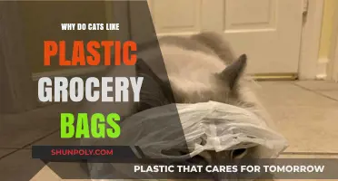 Why Cats Love Plastic Grocery Bags: Unraveling the Feline Fascination