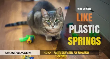 Plastic Springs: Cats' Favorite Playthings