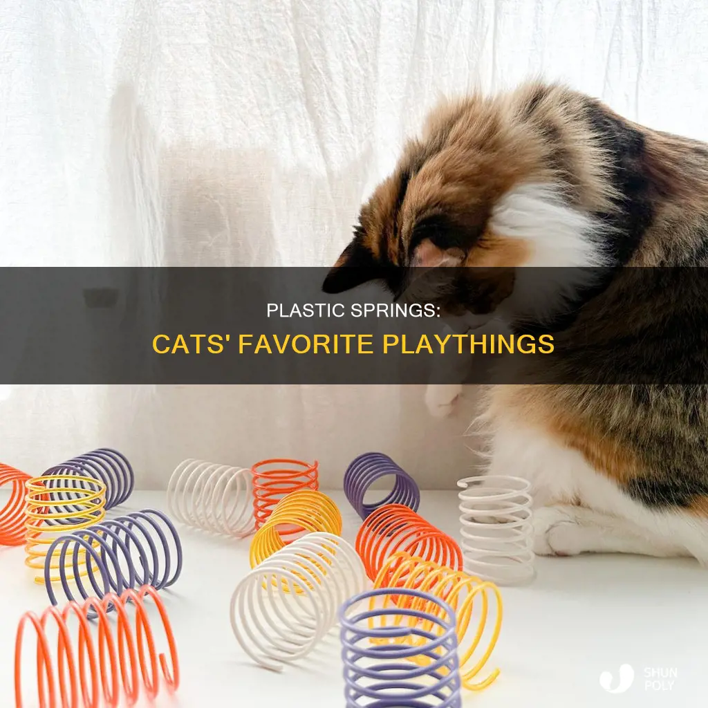 why do cats like plastic springs